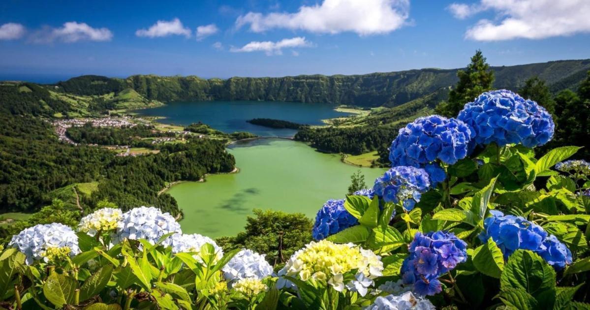 Barrocas Villas Azores São Roque エクステリア 写真